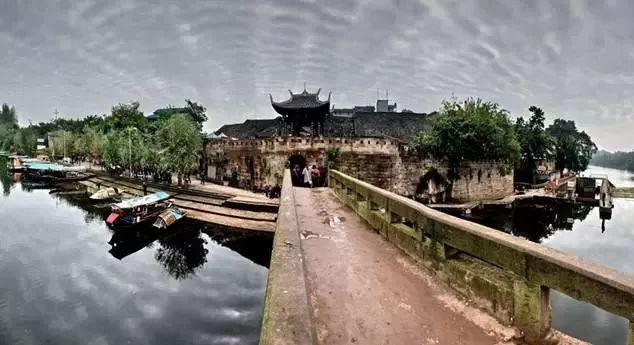 逗小猴开心系列166
